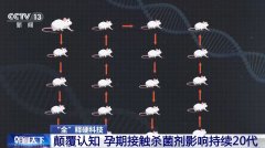 颠覆认知 孕期接触杀菌剂影
